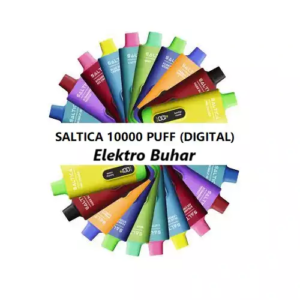 Saltica Dijital 10000 Mint