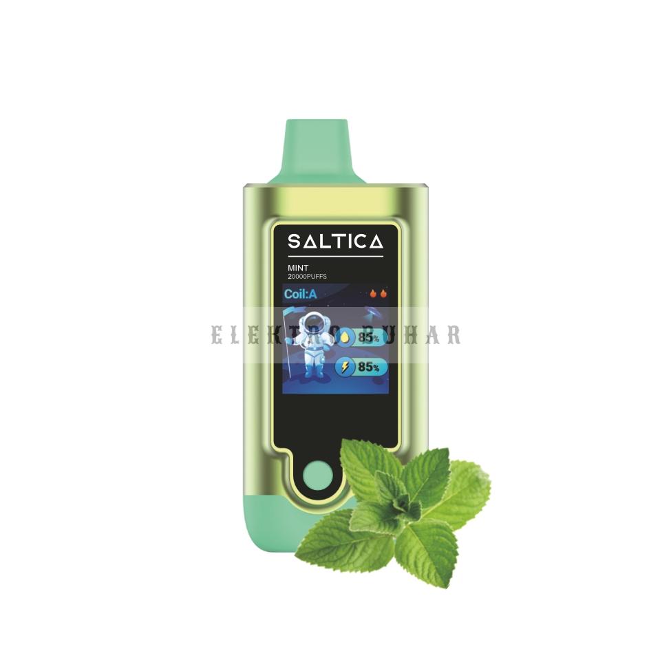 Saltica Digital 20000 Puf MINT - Görsel 3
