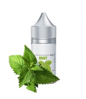 Saltica MINT Salt Likit