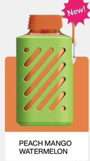 Vozol Gear 10000 Peach Mango Watermelon