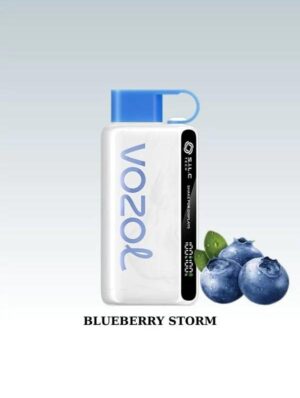 Vozol Star 12000 Blueberry Storm