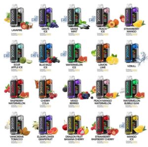 vozol-vista-1600020000-_renk_-1265_17112416012-1000