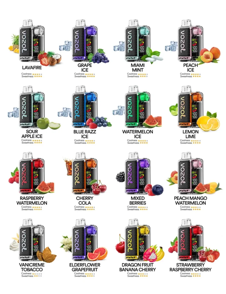 Vozol Vista 20000 Çekim