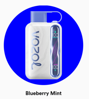 Vozol Star 40000 Blueberry Mint